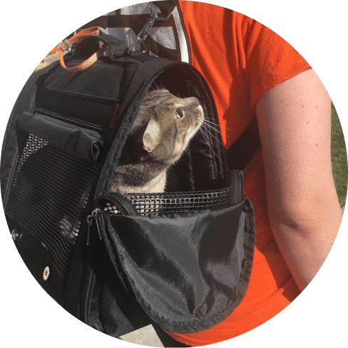 Mask Grooiup-min Hideaway Backpack - Black