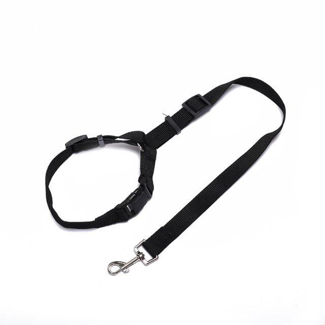 Dog Car Seatbelt - Image 6