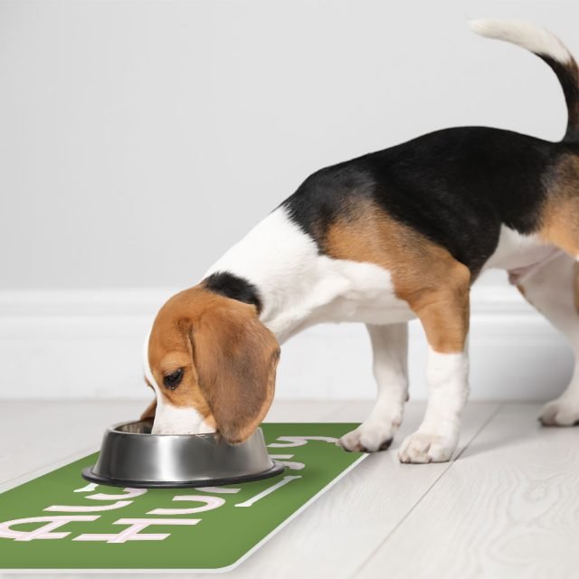 Always Hungry Pet Food Mat - Funny Anti-Slip Pet Bowl Mat - Best Design Pet Feeding Mat - Image 5