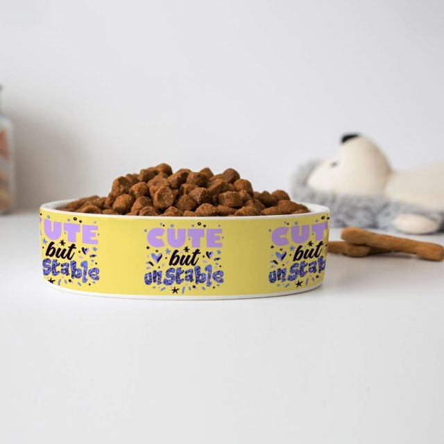 Cute but Unstable Pet Bowl - Funny Design Dog Bowl - Graphic Pet Food Bowl - Image 4