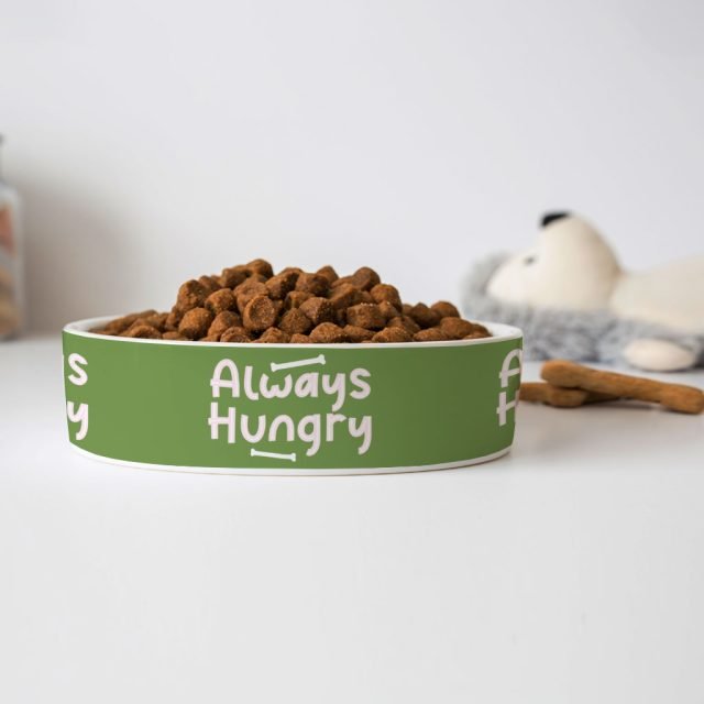 Always Hungry Pet Bowl - Funny Dog Bowl - Best Design Pet Food Bowl - Image 4