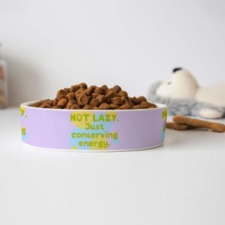 I Am Not Lazy Pet Bowl - Quote Dog Bowl - Themed Pet Food Bowl - Image 4
