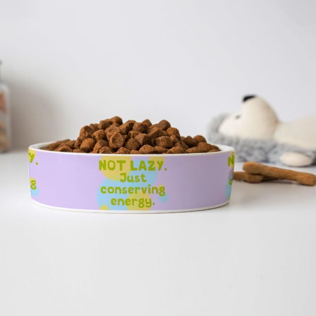 I Am Not Lazy Pet Bowl - Quote Dog Bowl - Themed Pet Food Bowl - Image 4
