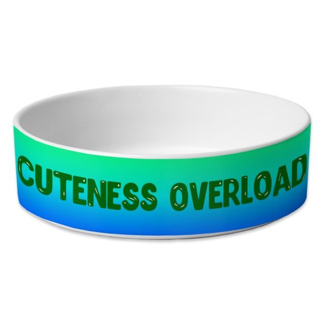 Cute Print Pet Bowl - Kawaii Dog Bowl - Cool Pet Food Bowl