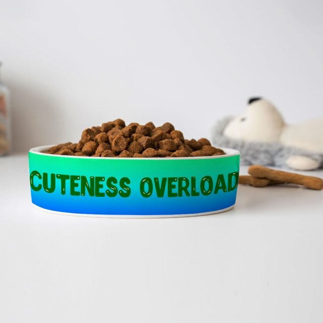 Cute Print Pet Bowl - Kawaii Dog Bowl - Cool Pet Food Bowl - Image 4