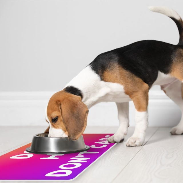Dog Hair Don't Care Pet Food Mat - Funny Design Anti-Slip Pet Bowl Mat - Cool Design Pet Feeding Mat - Image 5