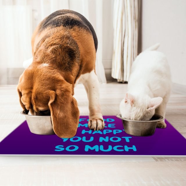 Funny Design Pet Food Mat - Sarcastic Anti-Slip Pet Bowl Mat - Cool Saying Pet Feeding Mat - Image 4