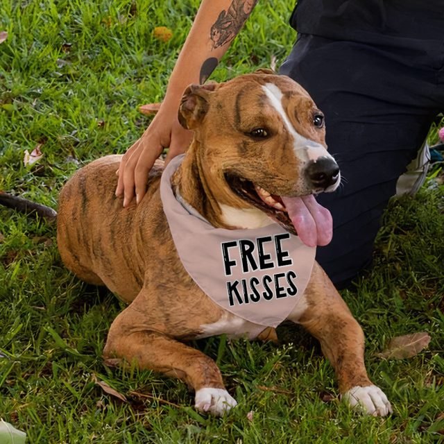 Free Kisses Pet Bandana - Word Print Dog Bandana - Minimalist Pet Scarf - Image 5