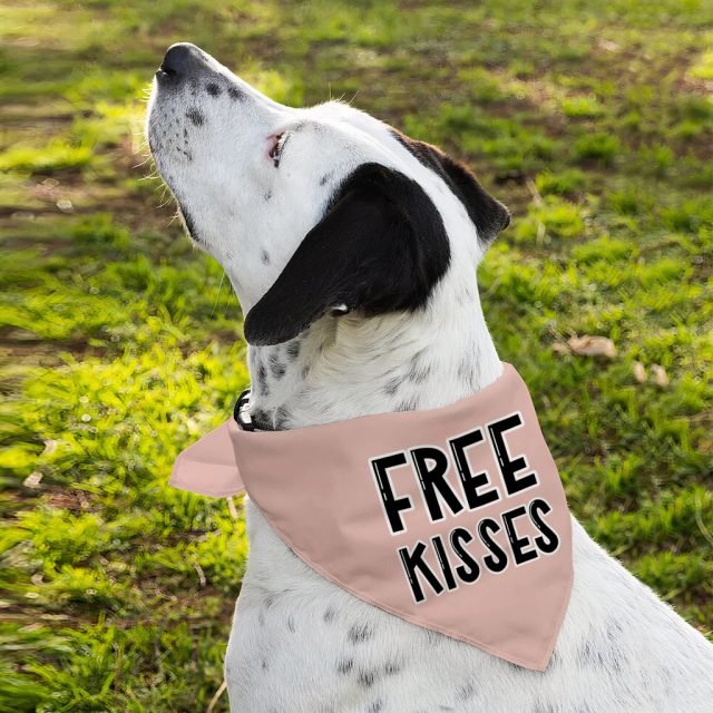 Free Kisses Pet Bandana - Word Print Dog Bandana - Minimalist Pet Scarf - Image 6