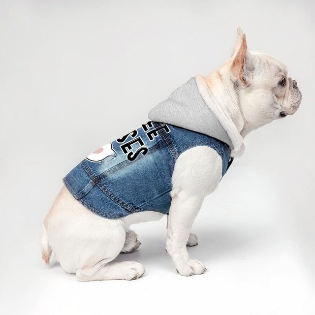 Free Kisses Dog Denim Jacket - Word Print Dog Denim Coat - Minimalist Dog Clothing - Image 4