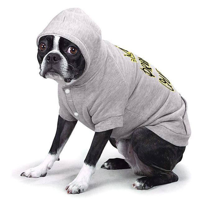 Drama Queen Dog Hoodie with Pocket - Funny Dog Coat - Themed Dog Clothing - Image 5