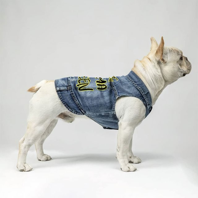 Drama Queen Dog Denim Vest - Funny Dog Denim Jacket - Themed Dog Clothing - Image 5