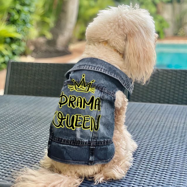 Drama Queen Dog Denim Vest - Funny Dog Denim Jacket - Themed Dog Clothing - Image 6