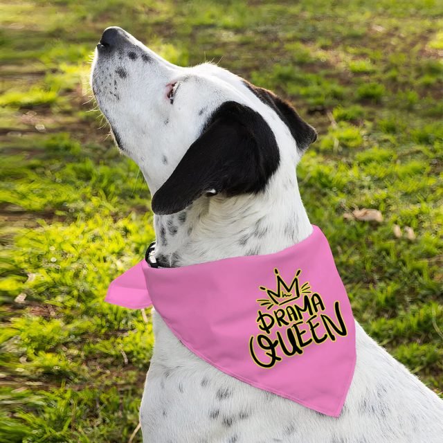 Drama Queen Pet Bandana - Funny Dog Bandana - Themed Pet Scarf - Image 6