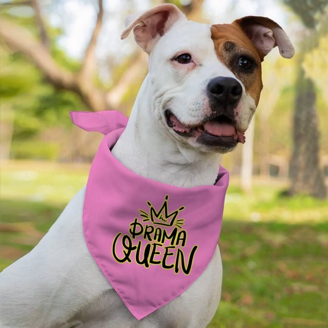 Drama Queen Pet Bandana - Funny Dog Bandana - Themed Pet Scarf - Image 4