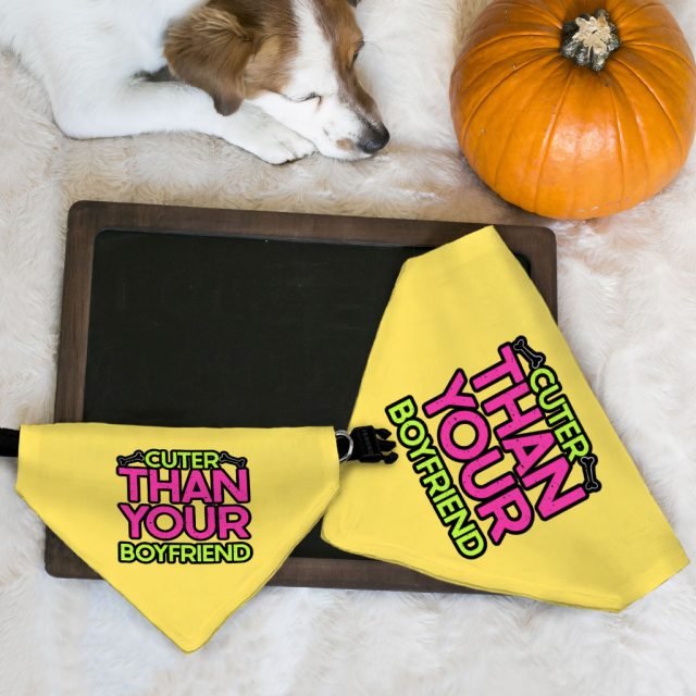 Cuter Than Your Boyfriend Pet Bandana Collar - Funny Scarf Collar - Colorful Dog Bandana - Image 7