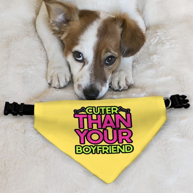 Cuter Than Your Boyfriend Pet Bandana Collar - Funny Scarf Collar - Colorful Dog Bandana - Image 6