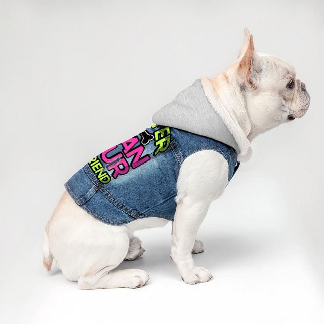 Cuter Than Your Boyfriend Dog Denim Jacket - Funny Dog Denim Coat - Colorful Dog Clothing - Image 4