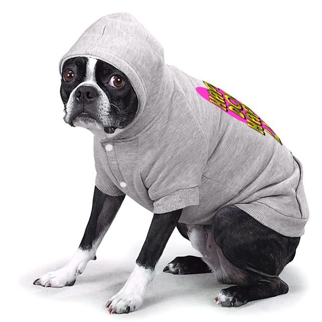 Happy Dog Happy Life Dog Hoodie with Pocket - Phrase Dog Coat - Art Print Dog Clothing - Image 5
