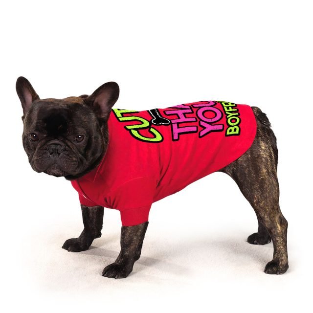 Cuter Than Your Boyfriend Dog Polo Shirt - Funny Dog T-Shirt - Colorful Dog Clothing - Image 6