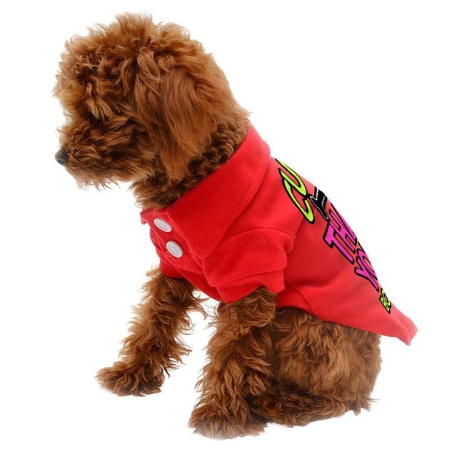 Cuter Than Your Boyfriend Dog Polo Shirt - Funny Dog T-Shirt - Colorful Dog Clothing - Image 5