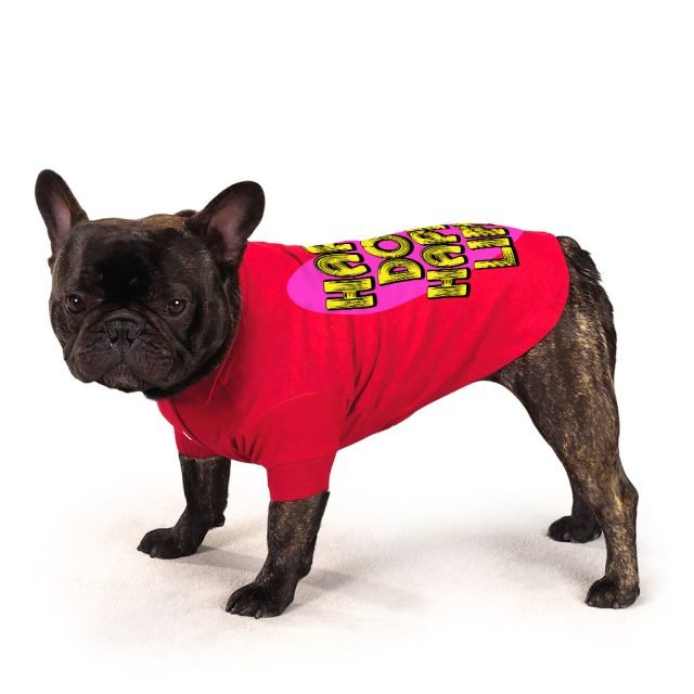 Happy Dog Happy Life Dog Polo Shirt - Phrase Dog T-Shirt - Art Print Dog Clothing - Image 6