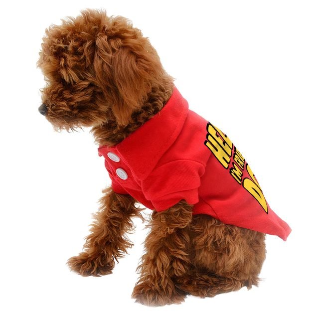 I'm Friendly Dog Dog Polo Shirt - Themed Dog T-Shirt - Cute Dog Clothing - Image 5