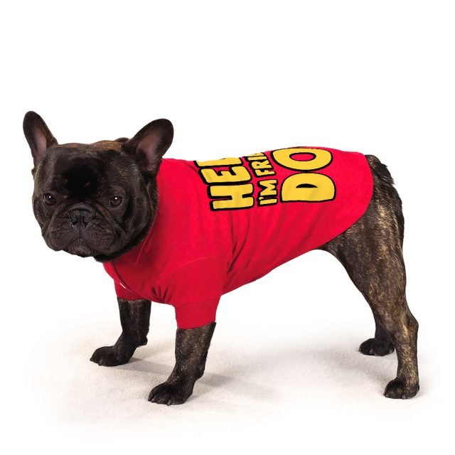 I'm Friendly Dog Dog Polo Shirt - Themed Dog T-Shirt - Cute Dog Clothing - Image 6