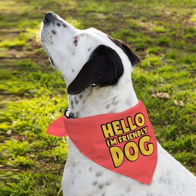 I'm Friendly Dog Pet Bandana - Themed Dog Bandana - Cute Pet Scarf