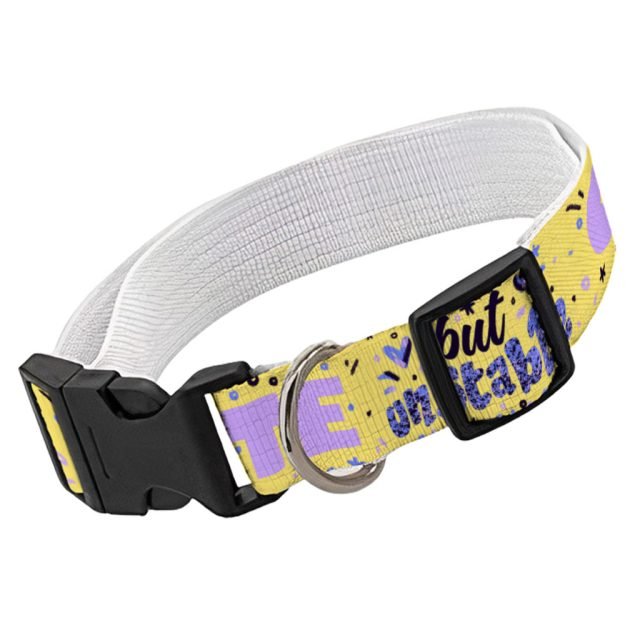 Cute but Unstable Pet Collar - Funny Design Dog Collar - Graphic Dog Collar