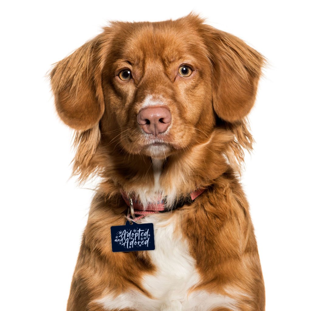 Adopted Pet ID Tag - Cute Pet Tag - Trendy Pet ID Tag -Forever Tag