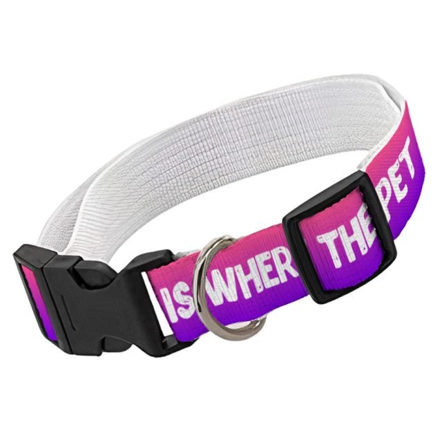 Cool Design Pet Collar - Cute Print Dog Collar - Cool Trendy Dog Collar