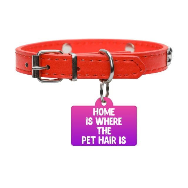 Cool Design Pet ID Tag - Cute Print and trendy Pet Tag