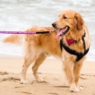 Cool Design Pet Leash - Cute Print Leash