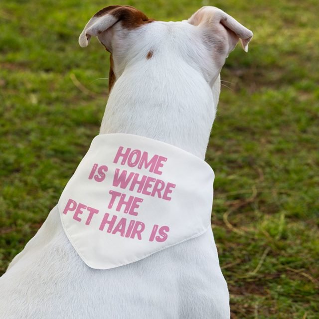 Cool Design Pet Bandana Collar - Cute Print Scarf Collar - Cool Trendy Dog Bandana