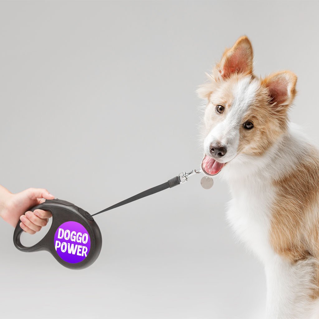 Cool Print Retractable Pet Leash - Cool Design Leash - Themed Dog Leash