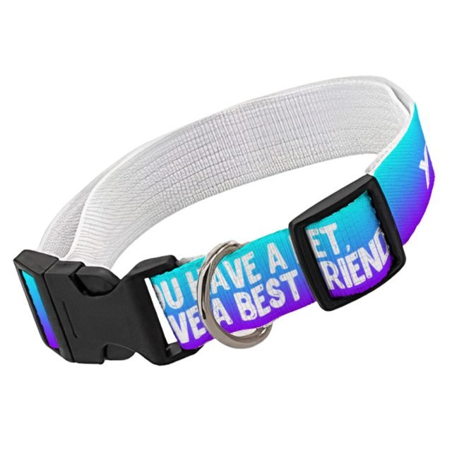 Cute Design Pet Collar - Quote Dog Collar - Best Print Dog Collar