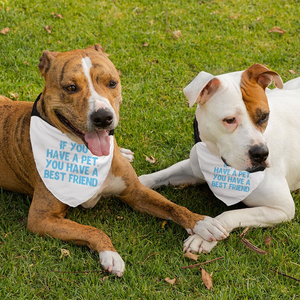 Cute Design Pet Bandana Collar - Quote Scarf Collar - Best Print Dog Bandana