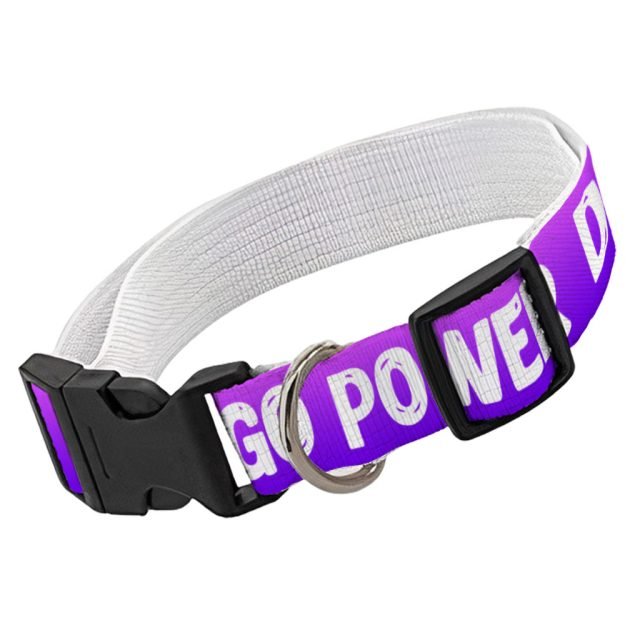 Cool Print Pet Collar - Cool Design Dog Collar - Themed Dog Collar