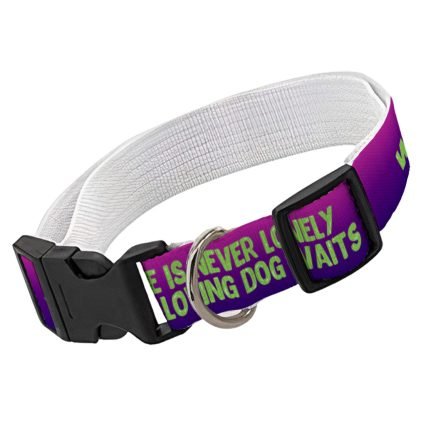 Dog Quote Pet Collar - Cute Dog Collar - Creative Dog Collar