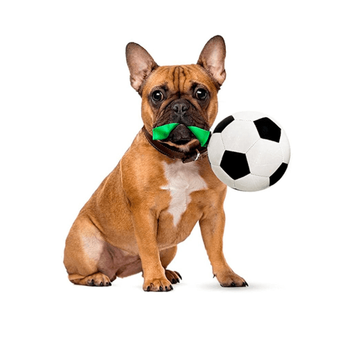 Dog Soccer Ball Toy