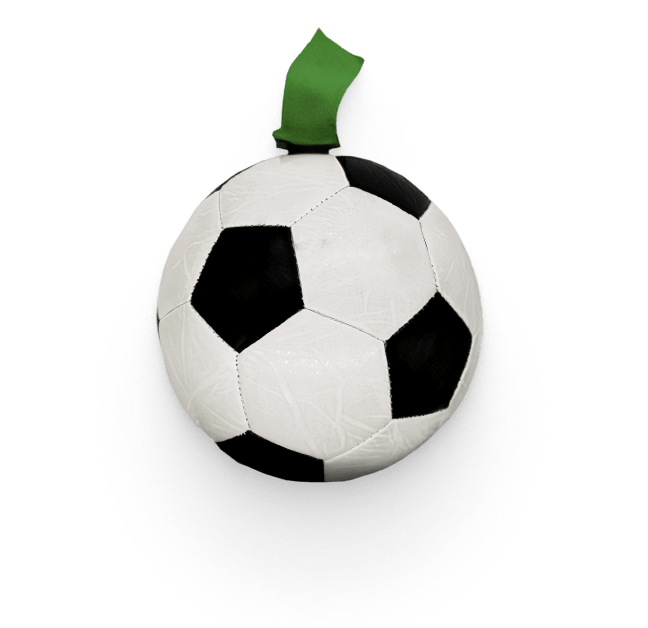Dog Soccer Ball Toy