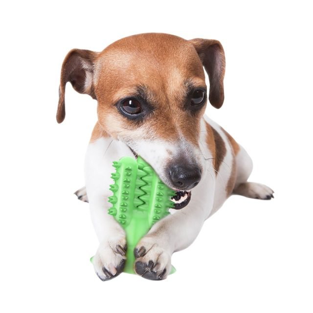 Cactus Dog Toothbrush - Image 3