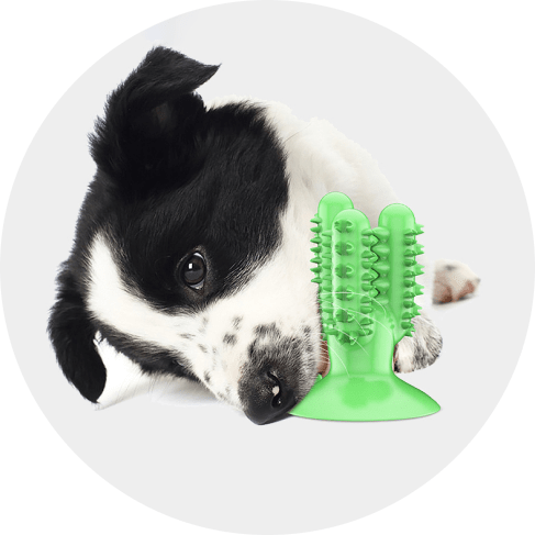 1-min (76) Cactus Dog Toothbrush