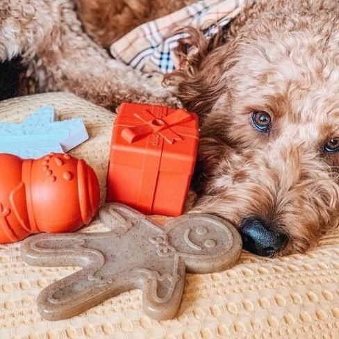 ginger-min Nylon Gingerbread Man Chew Toy