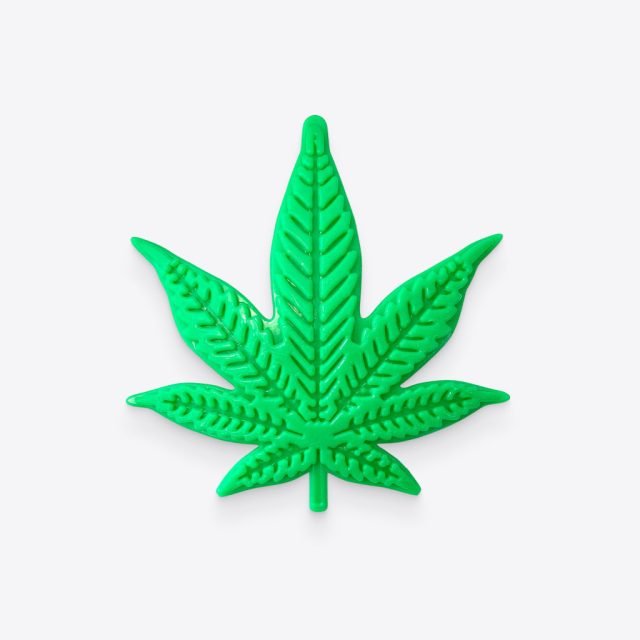 Colorado "Maple Leaf" Durable Nylon Dog Chew Toy for Aggress