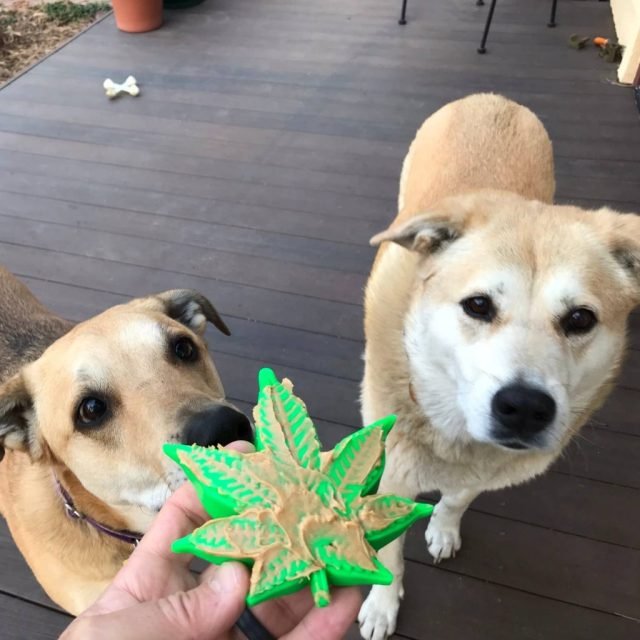 Colorado "Maple Leaf" Durable Nylon Dog Chew Toy for Aggress - Image 3