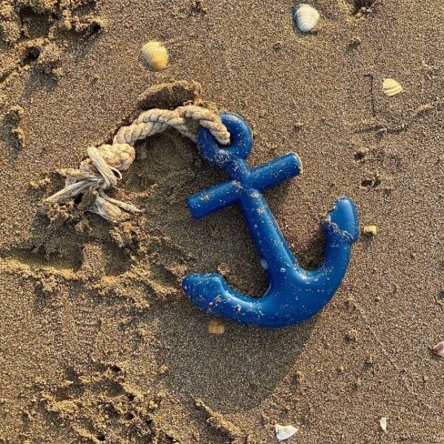 10-min Anchors Aweigh Rubber Dog Toy