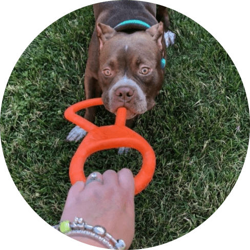 Mask Groддup Tug O' War Toy