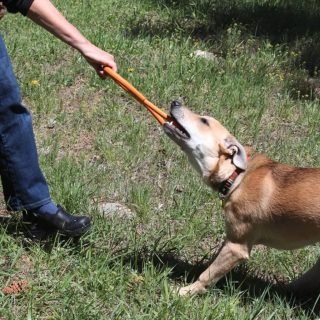 Tug O' War Toy - Image 5